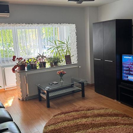 Apartament 3 Camere Otopeni Bagian luar foto